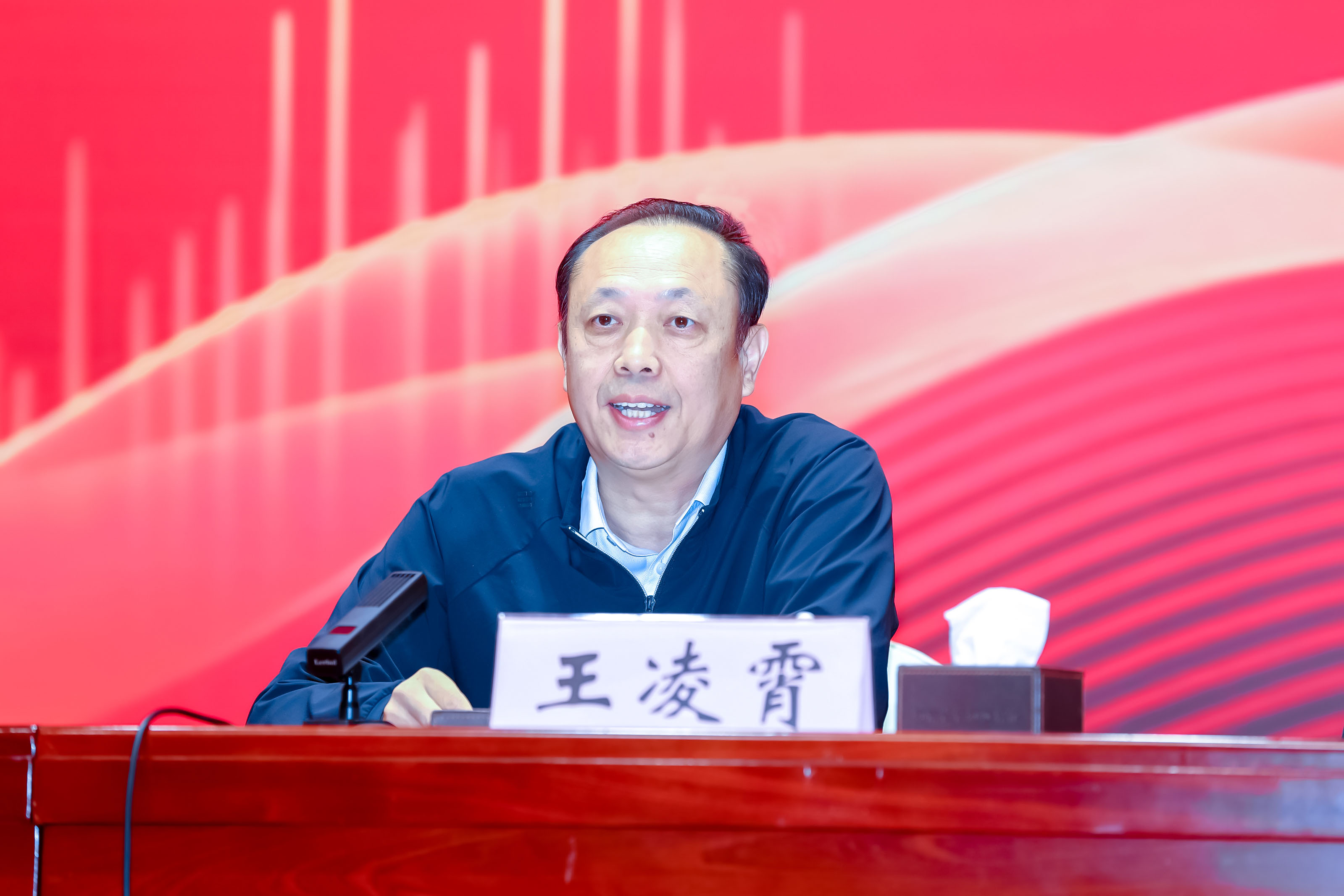 4.王凌霄.jpg